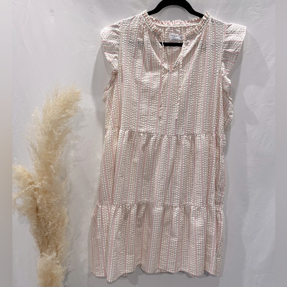TIME AND TRUE XL Light pink and green striped dress